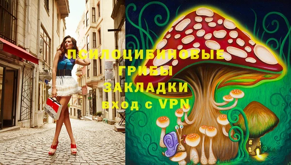 гидра Алзамай