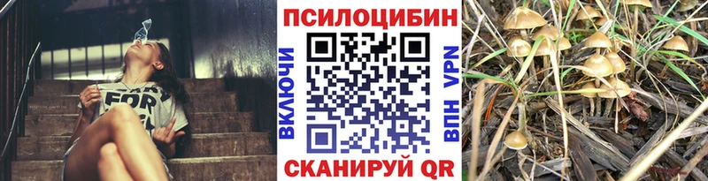 купить наркотики сайты  Благовещенск  нарко площадка наркотические препараты  Галлюциногенные грибы Magic Shrooms 