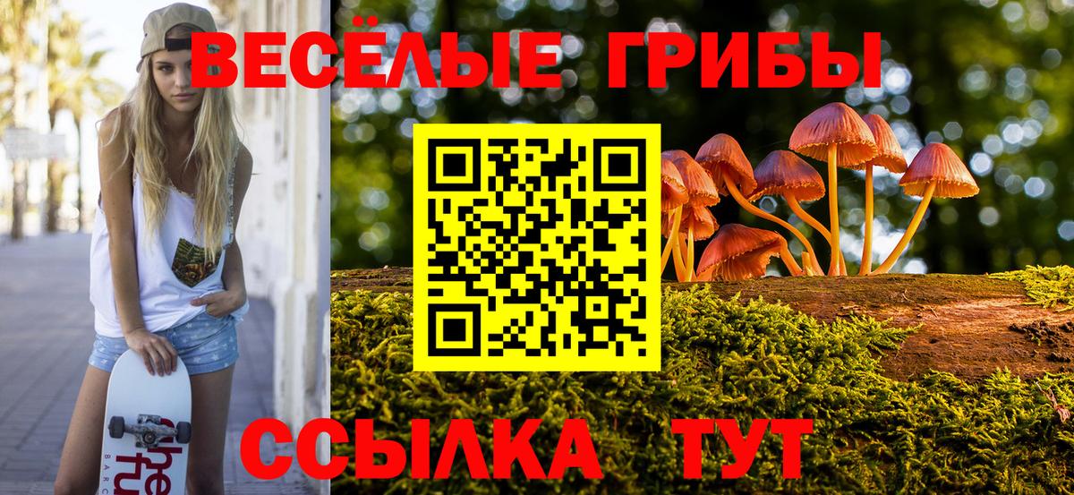 Псилоцибиновые грибы прущие грибы Благовещенск