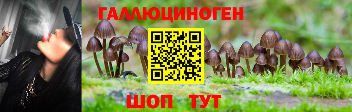Благовещенск  Галлюциногенные грибы прущие грибы  Вход с VPN  Галлюциногенные грибы GOLDEN TEACHER 